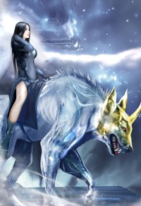 海贼世界的格斗家