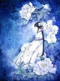 我是美母骑士(美母骑士爆改无绿版)
